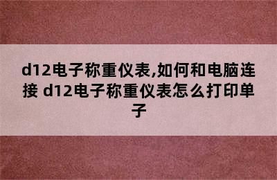 d12电子称重仪表,如何和电脑连接 d12电子称重仪表怎么打印单子